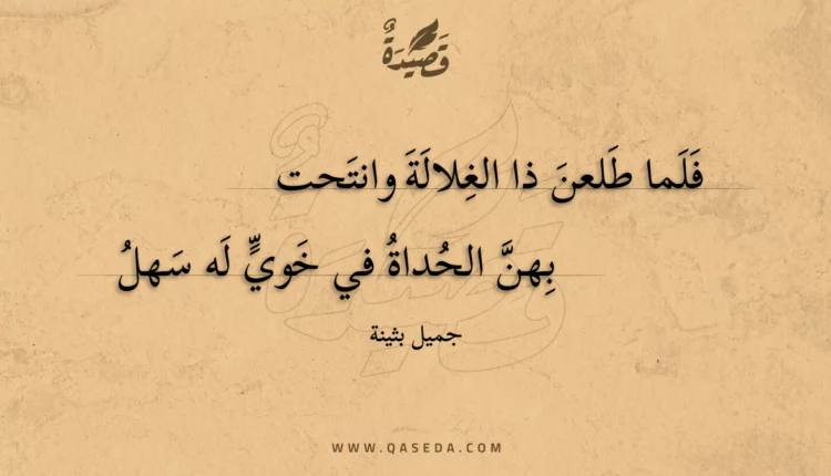 قصيدة فلما طلعن ذا الغلالة وانتحت