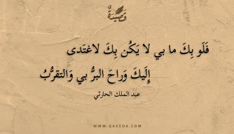 قصيدة فلو بك ما بي لا يكن بك لاغتدى