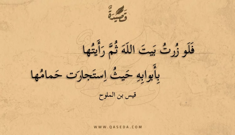 قصيدة فلو زرت بيت الله ثم رأيتها