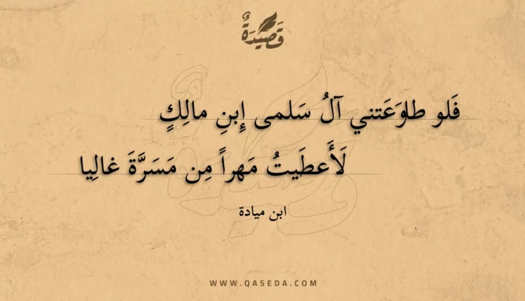 قصيدة فلو طاوعتني آل سلمى إبن مالك