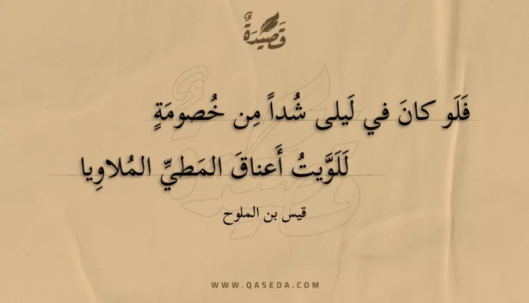 قصيدة فلو كان في ليلى شدا من خصومة