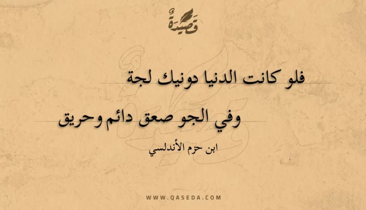 قصيدة فلو كانت الدنيا دونيك لجة