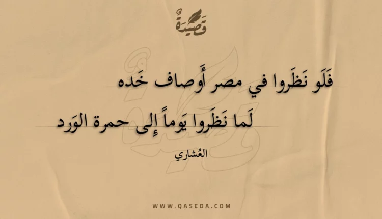 قصيدة فلو نظروا في مصر أوصاف خده