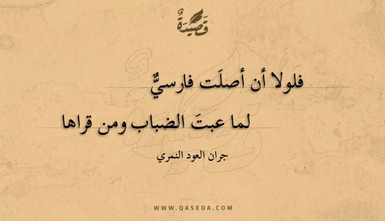 قصيدة فلولا أن أصلت فارسي
