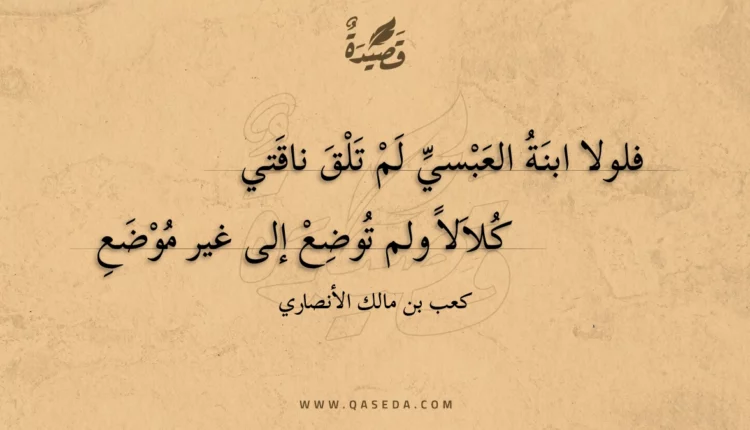 قصيدة فلولا ابنة العبسي لم تلق ناقتي