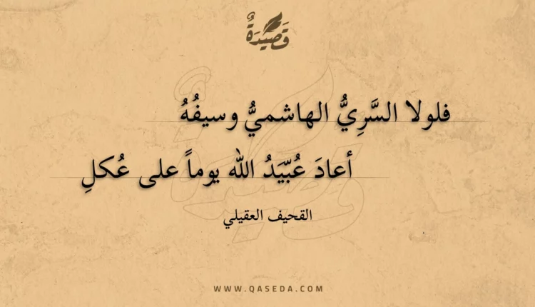 قصيدة فلولا السري الهاشمي وسيفه