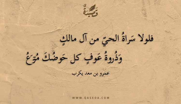 قصيدة فلولا سراة الحي من آل مالك