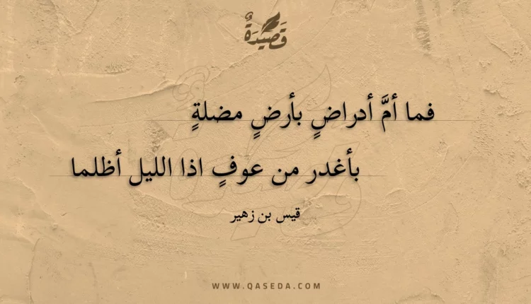 قصيدة فما أم أدراض بأرض مضلة