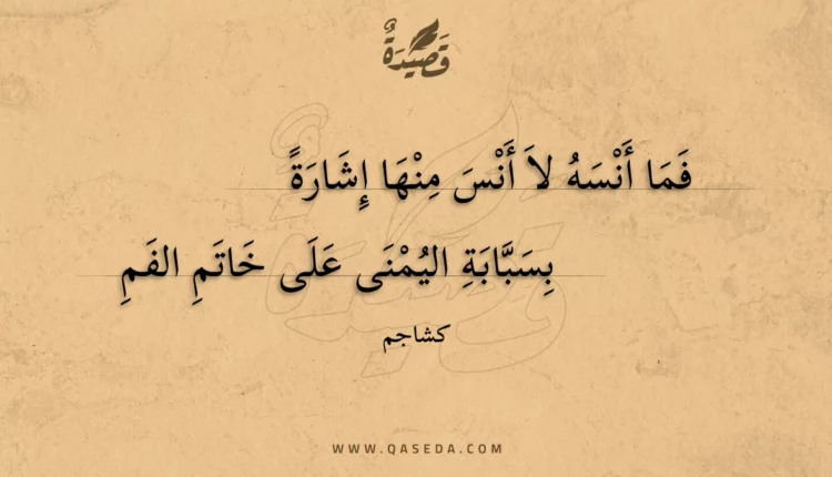 قصيدة فما أنسه لا أنس منها إشارة