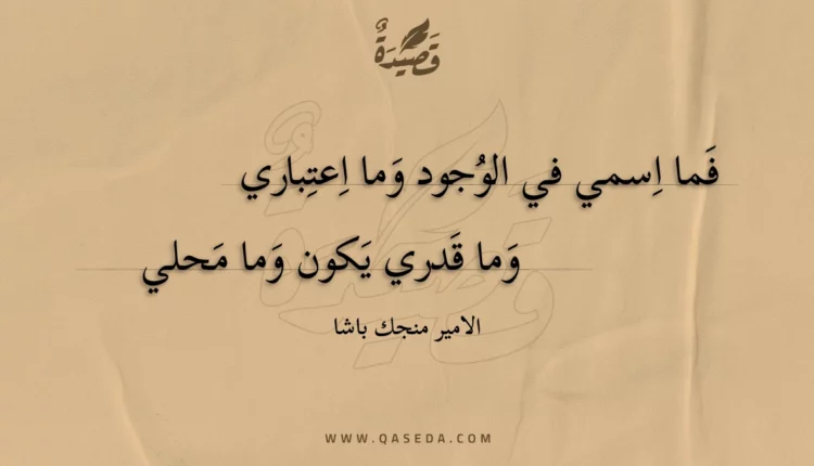قصيدة فما اسمي في الوجود وما اعتباري