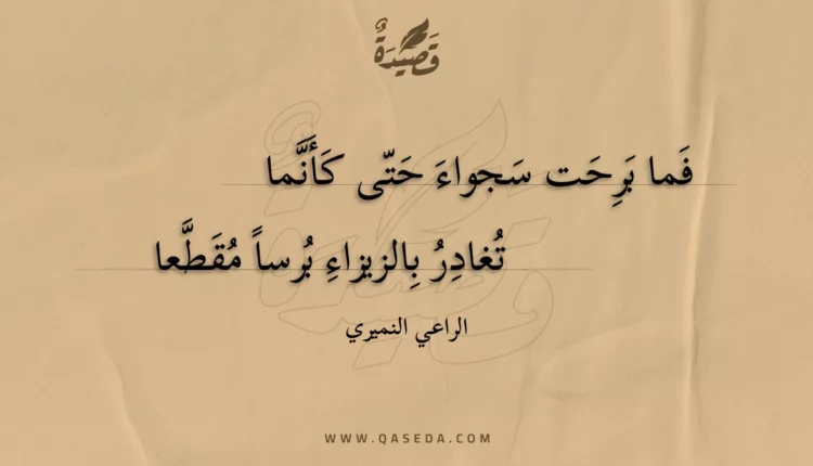 قصيدة فما برحت سجواء حتى كأنما
