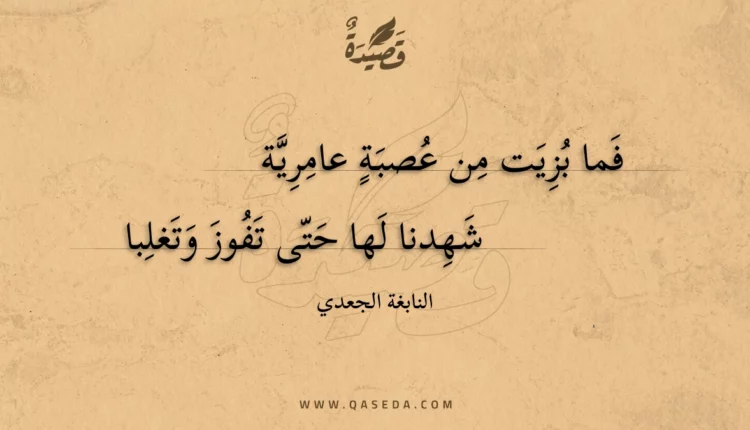 قصيدة فما بزيت من عصبة عامرية