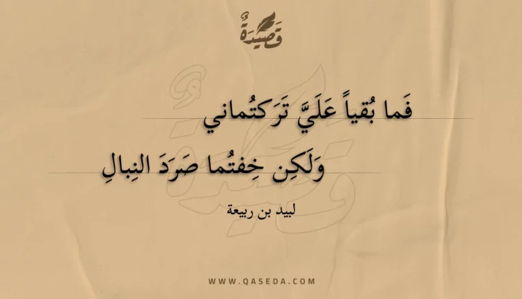 قصيدة فما بقيا علي تركتماني