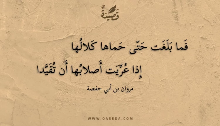 قصيدة فما بلغت حتى حماها كلالها