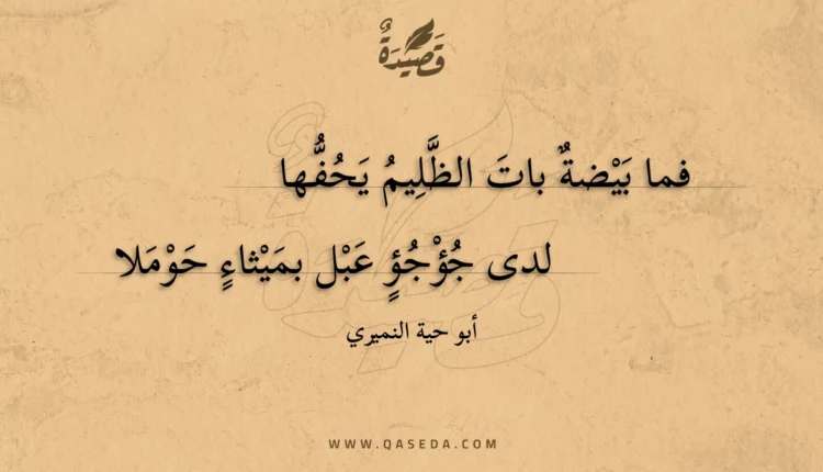 قصيدة فما بيضة بات الظليم يحفها