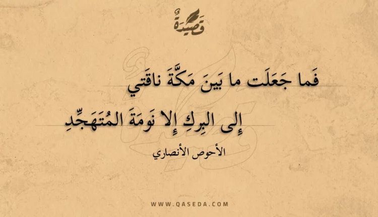 قصيدة فما جعلت ما بين مكة ناقتي