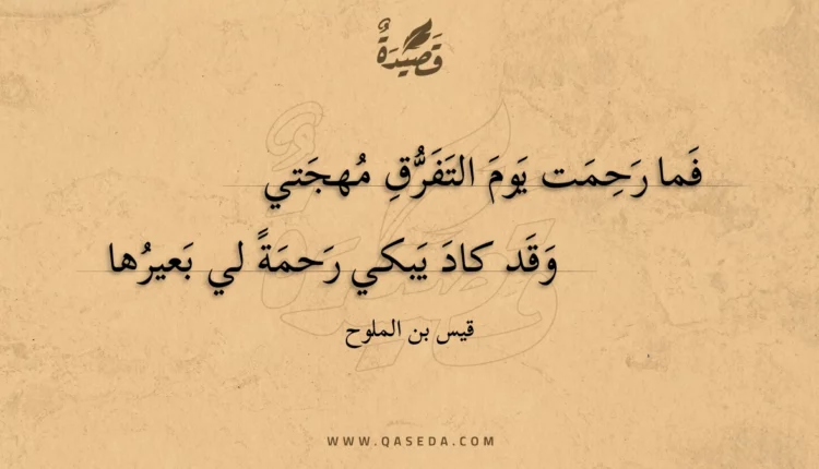 قصيدة فما رحمت يوم التفرق مهجتي