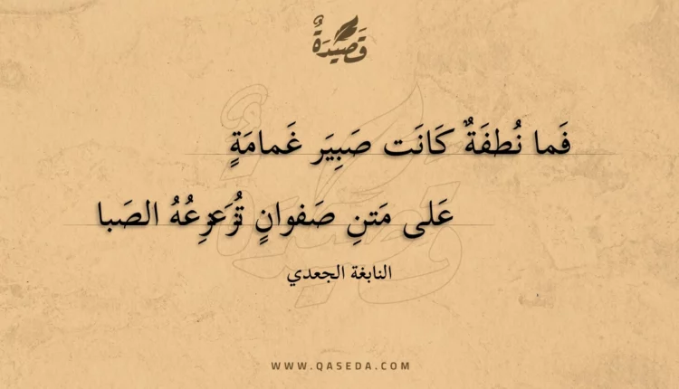 قصيدة فما نطفة كانت صبير غمامة