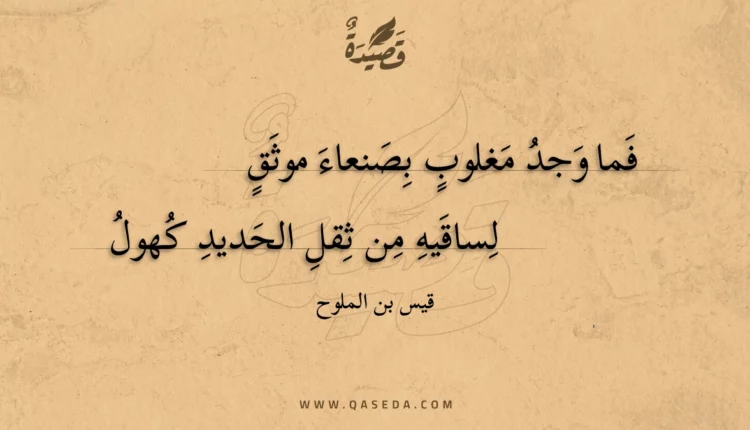 قصيدة فما وجد مغلوب بصنعاء موثق