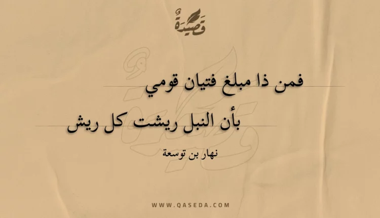قصيدة فمن ذا مبلغ فتيان قومي