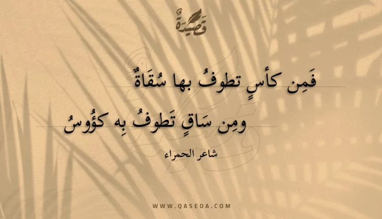 قصيدة فمن كأس تطوف بها سقاة