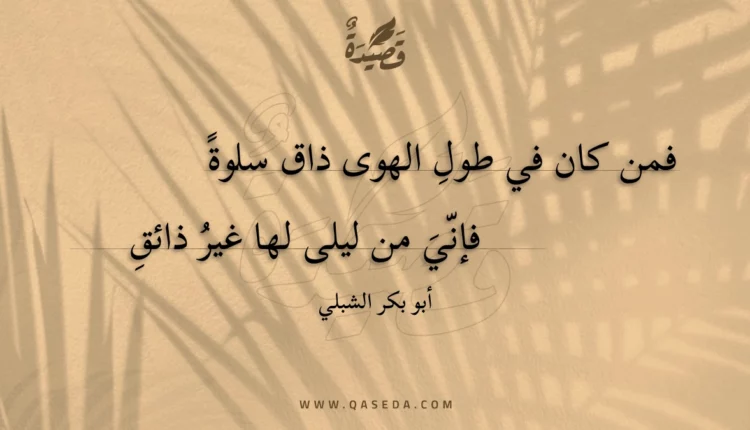 قصيدة فمن كان في طول الهوى ذاق سلوة