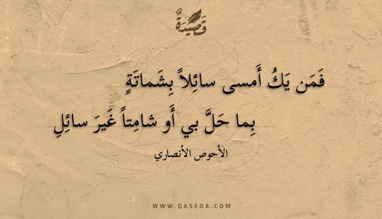 قصيدة فمن يك أمسى سائلا بشماتة