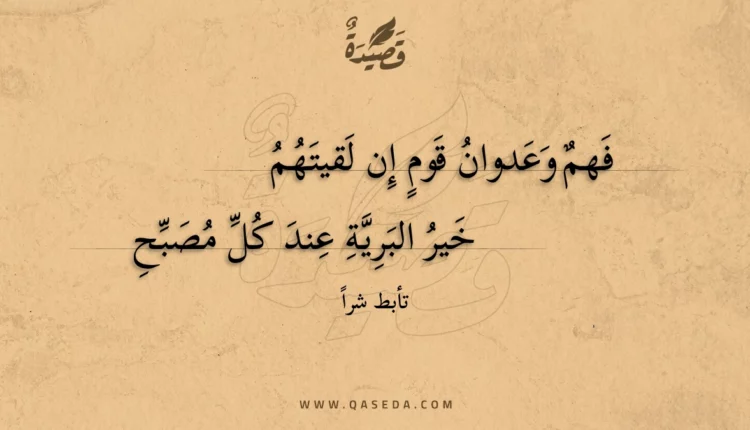قصيدة فهم وعدوان قوم إن لقيتهم