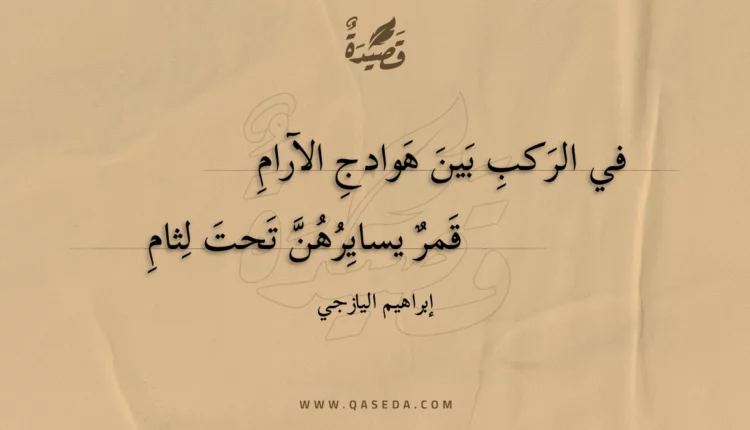 قصيدة في الركب بين هوادج الآرام