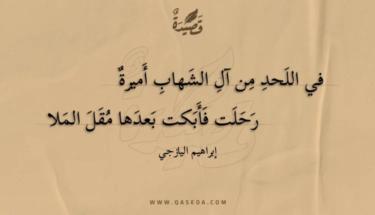 قصيدة في اللحد من آل الشهاب أميرة