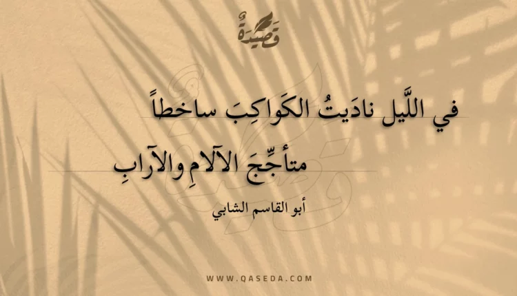 قصيدة في الليل ناديت الكواكب ساخطا