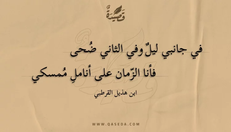 قصيدة في جانبي ليل وفي الثاني ضحى