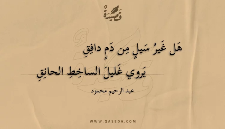 قصيدة في حالة غضب