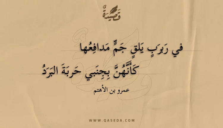 قصيدة في ربرب يلق جم مدافعها