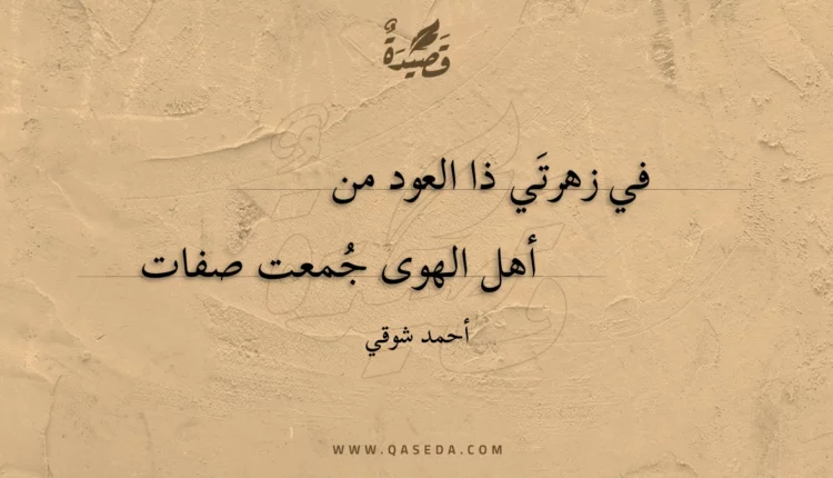 قصيدة في زهرتَي ذا العود من أهل الهوى