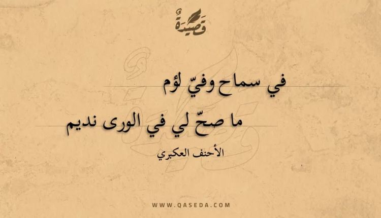 قصيدة في سماح وفي لؤم