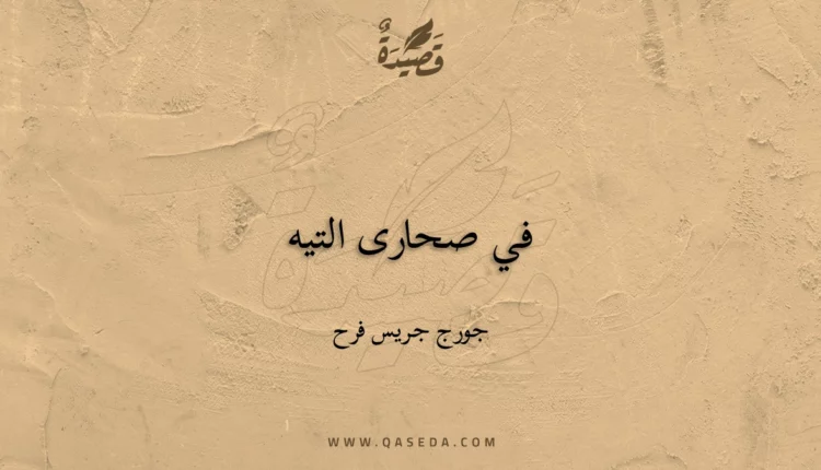 قصيدة في صحارى التيه