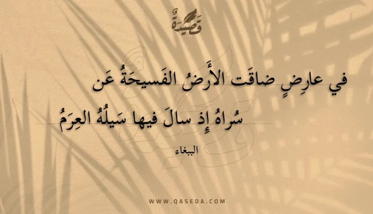 قصيدة في عارض ضاقت الأرض الفسيحة عن