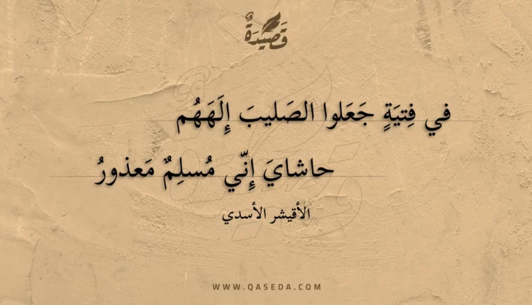 قصيدة في فتية جعلوا الصليب إلههم