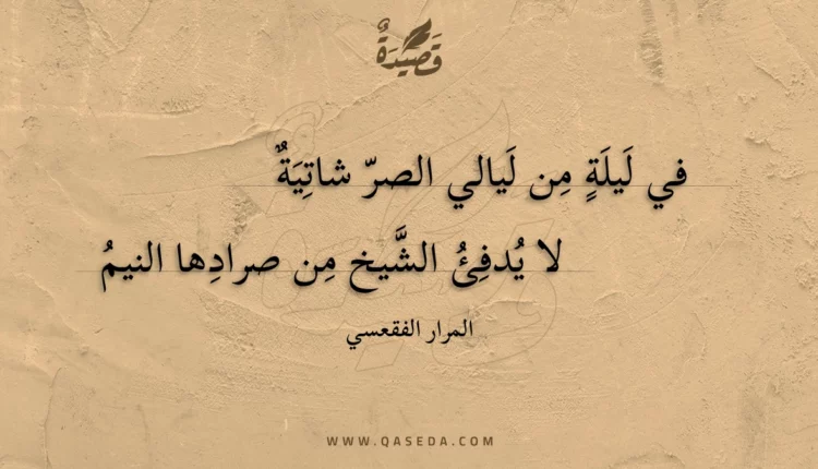 قصيدة في ليلة من ليالي الصر شاتية