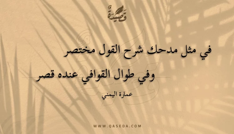قصيدة في مثل مدحك شرح القول مختصر