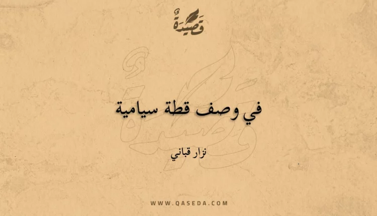 قصيدة في وصف قطة سيامية