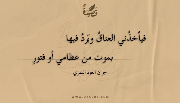 قصيدة فيأخذني العناق وبرد فيها