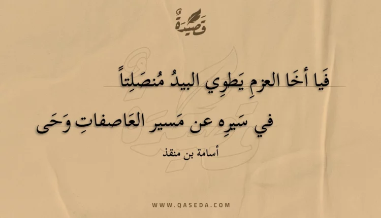 قصيدة فيا أخا العزم يطوي البيد منصلتا