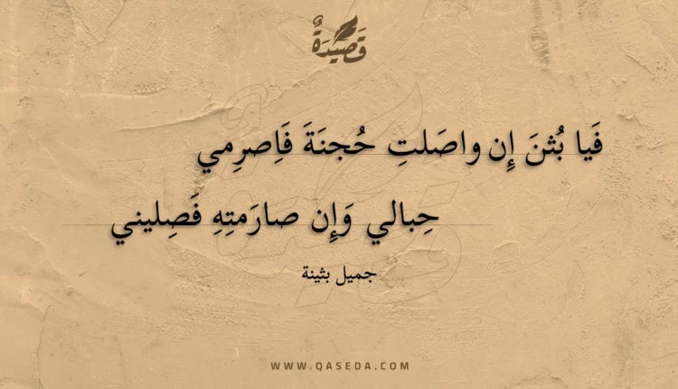 قصيدة فيا بثن إن واصلت حجنة فاصرمي