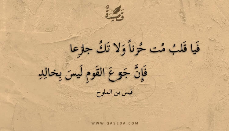 قصيدة فيا قلب مت حزنا ولا تك جازعا