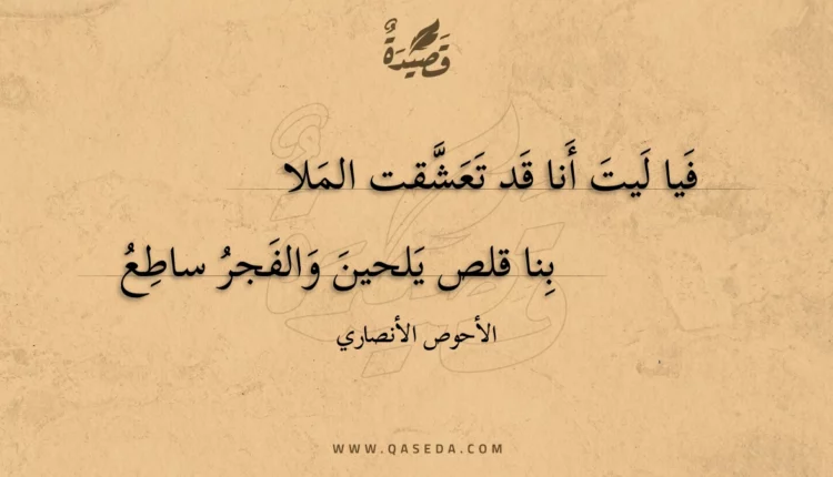 قصيدة فيا ليت أنا قد تعشقت الملا