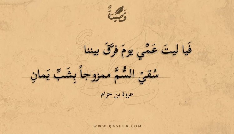قصيدة فيا ليت عمي يوم فرق بيننا