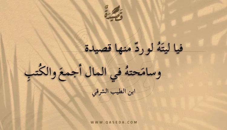 قصيدة فيا ليته لو رد منها قصيدة