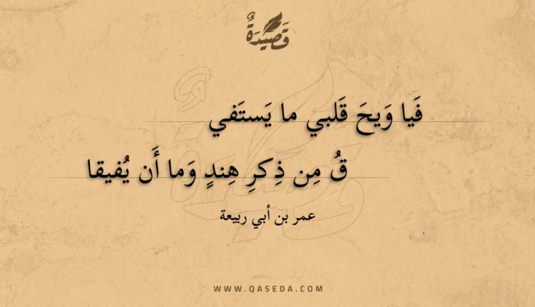 قصيدة فيا ويح قلبي ما يستفي